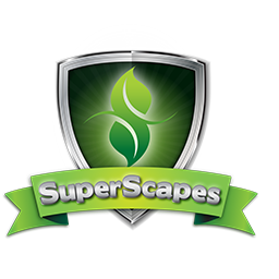 SuperScapes Landscaping, Irrigation, Pool Installation, Free Estimates