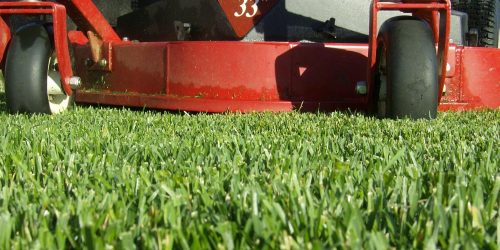 Lawn Care, Lawn Mowing, Grass Cutting, Lawn Maintenance, Lawn Care Business