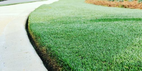 Lawn Care, Lawn Mowing, Grass Cutting, Lawn Maintenance, Lawn Care Business