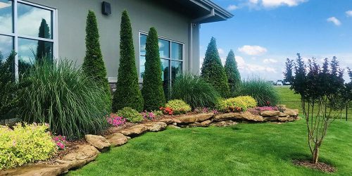 Landscaping, Landscaping Company, Landscaping Contractor, Landscaping Company Landscaping, Landscaping Company, Landscaping Contractor, Landscaping Company