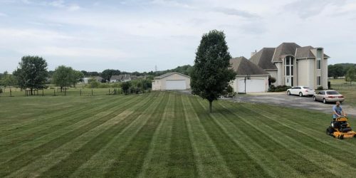 Lawn Care, Lawn Mowing, Grass Cutting, Lawn Maintenance, Lawn Care Business